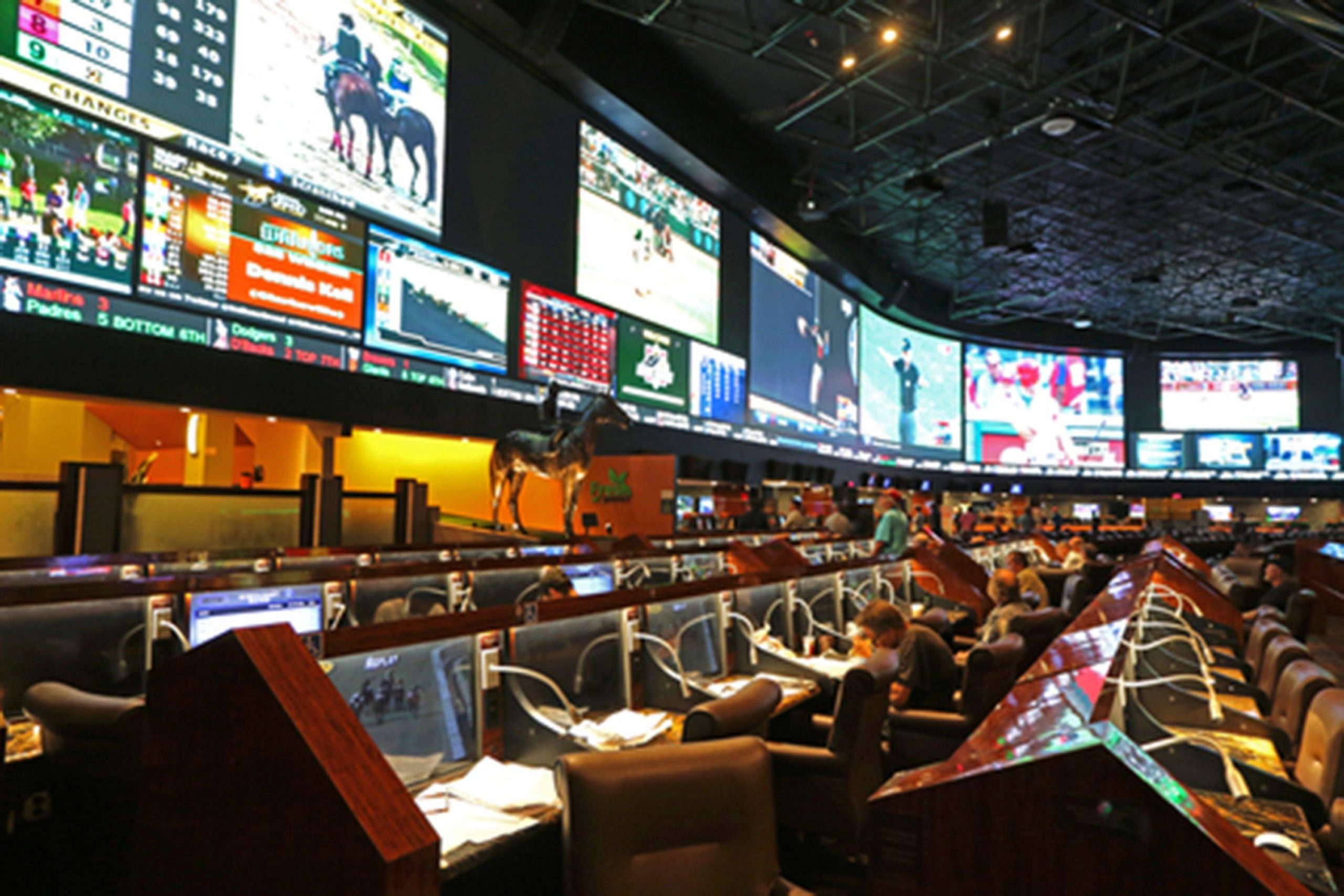 sports betting websites work