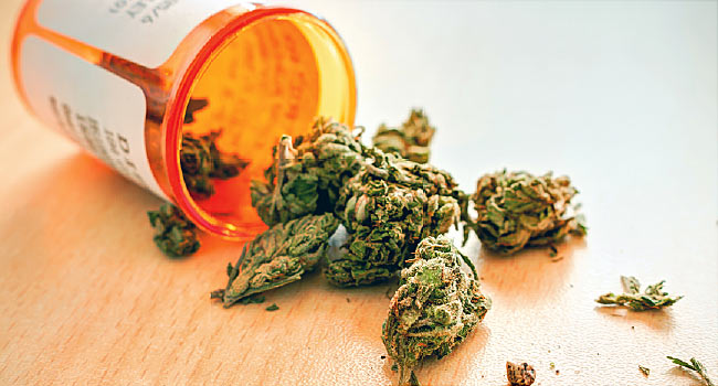 Use of Medical Marijuana