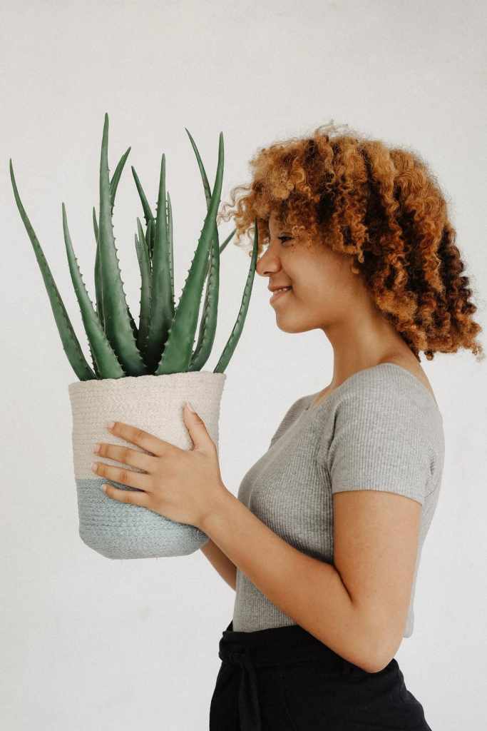 Benefits of Aloe Vera On Hair