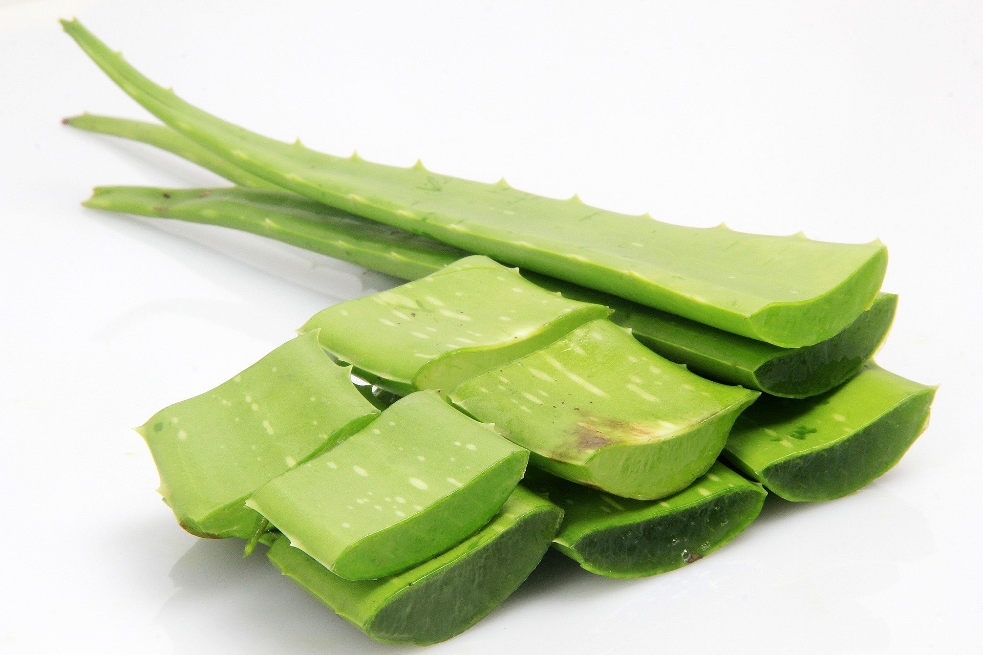 Benefits of Aloe Vera on Skin: Ways to Use It for Skincare
