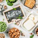 Protein Without Meat