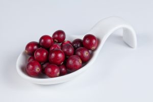 Cranberry for urine infection