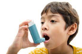 A Beginner's Guide to Understanding and Managing Asthma